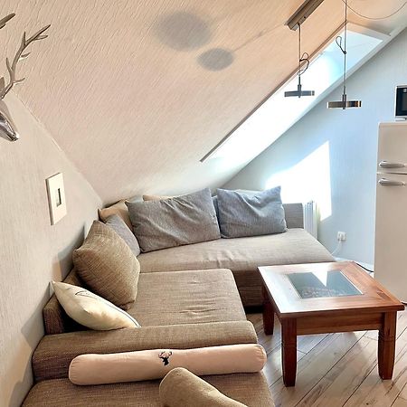 Apartament Jagdschloesschen-Harz Bad Sachsa Zewnętrze zdjęcie