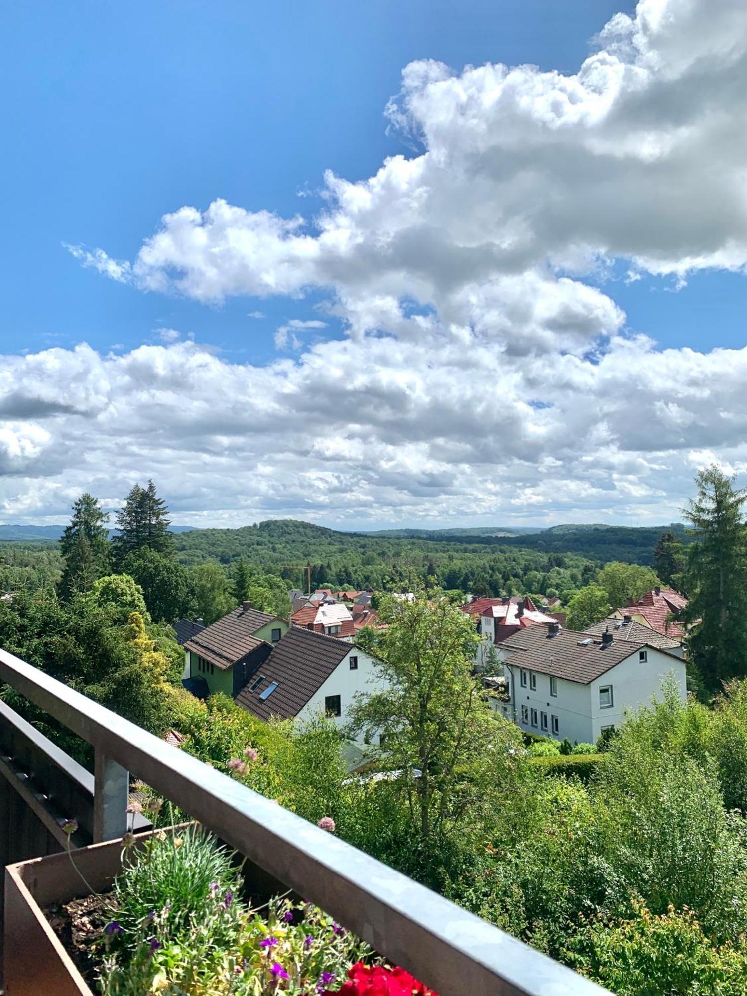 Apartament Jagdschloesschen-Harz Bad Sachsa Zewnętrze zdjęcie