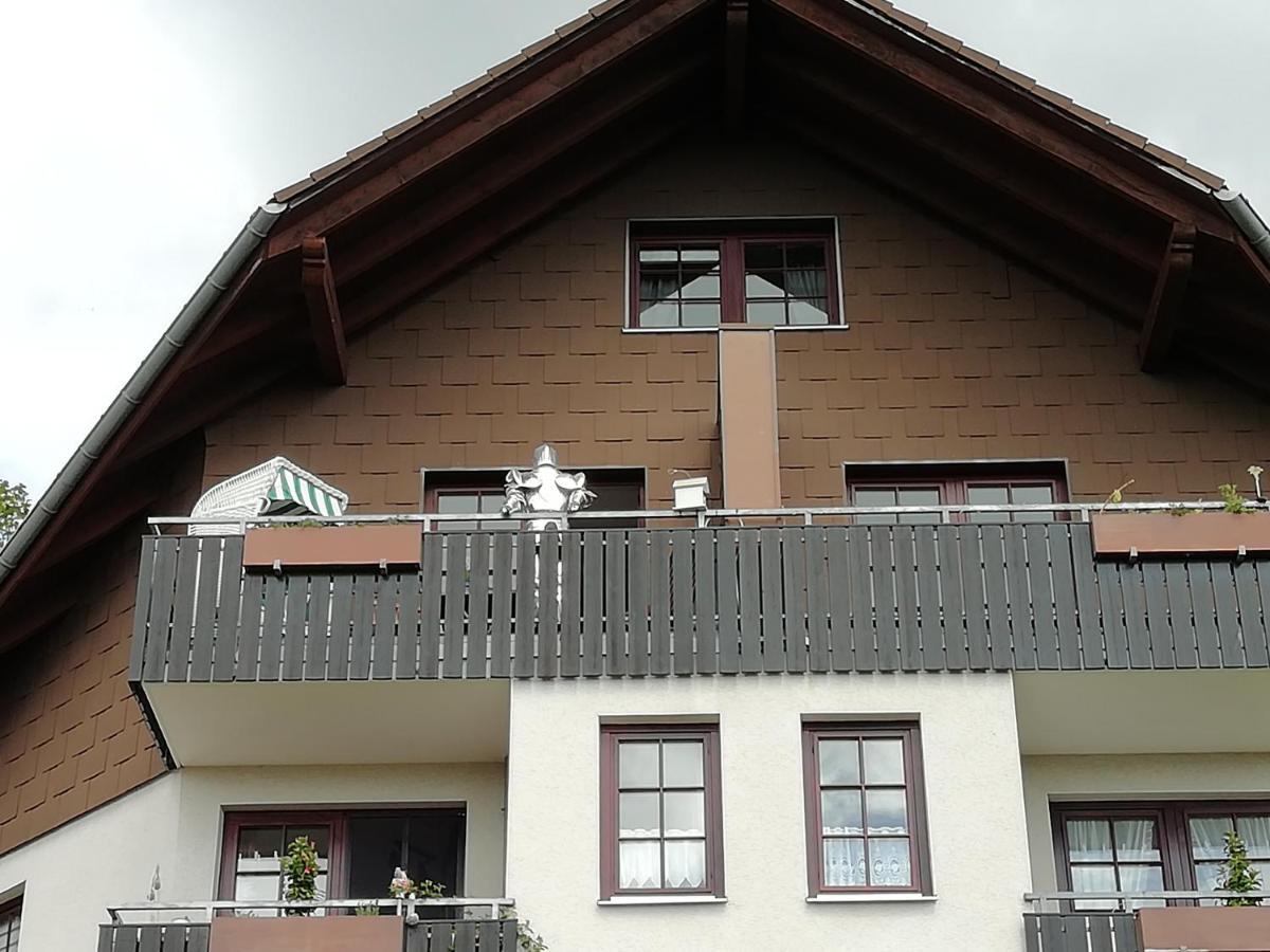 Apartament Jagdschloesschen-Harz Bad Sachsa Zewnętrze zdjęcie